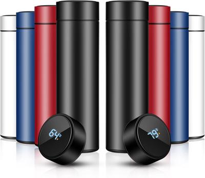 Insulated Stainless Steel Water Bottle